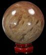 Colorful Petrified Wood Sphere #41952-1